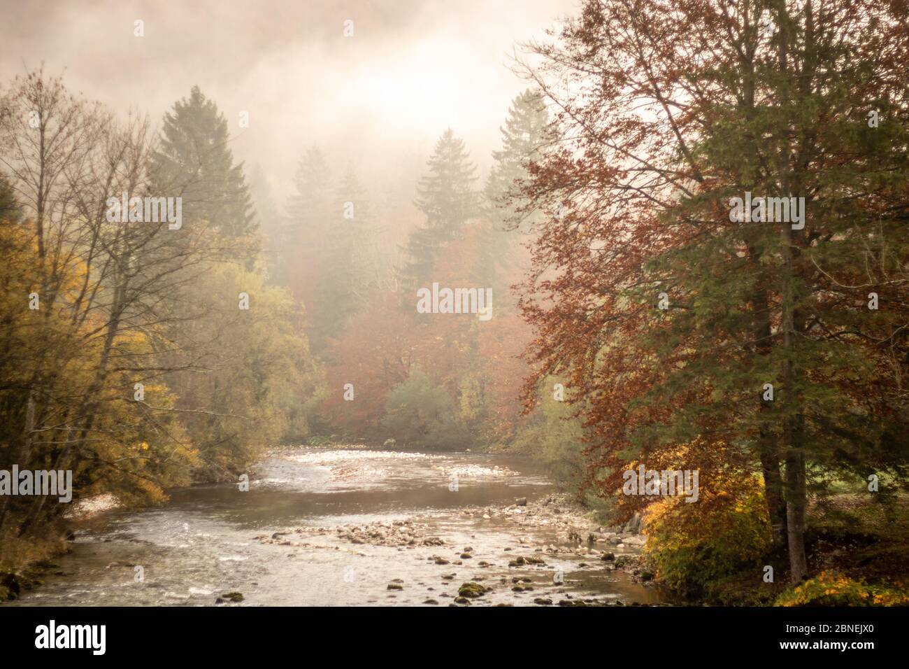 Autumn day in enchanted forest hi-res stock photography and images - Alamy