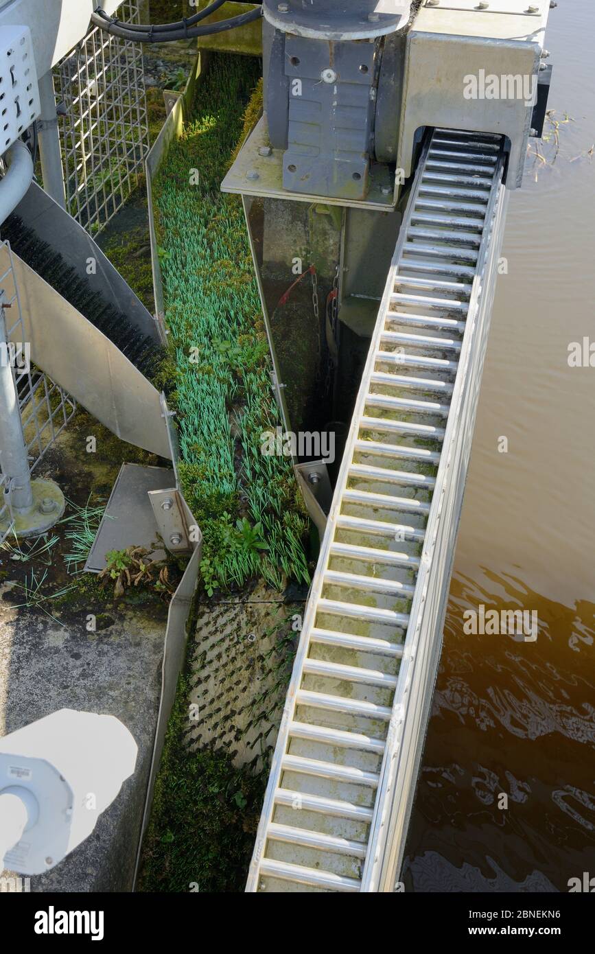 Eel pass with clumps of nylon bristles to allow migration of young