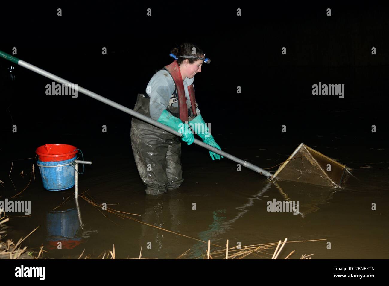 Anna Carey fishing under license with a legally sized dip net for young