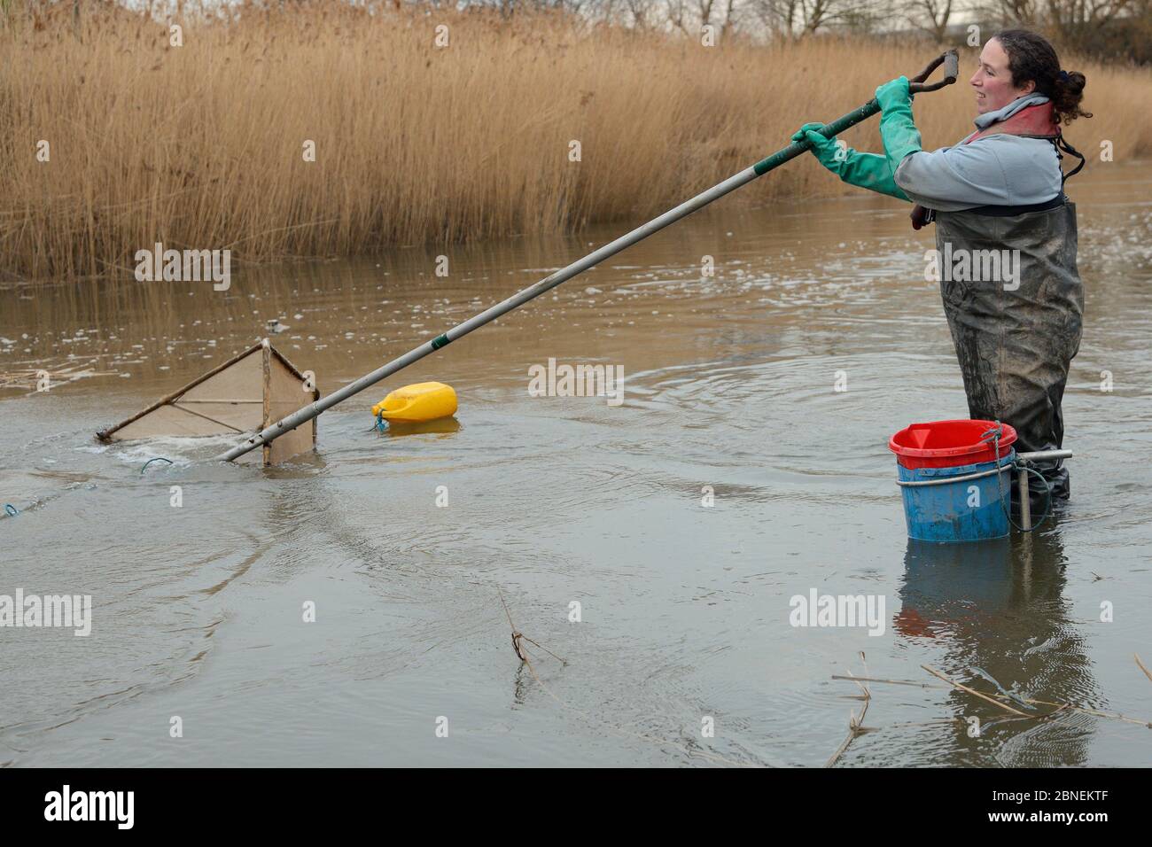 Anna Carey fishing under license with a legally sized dip net for young