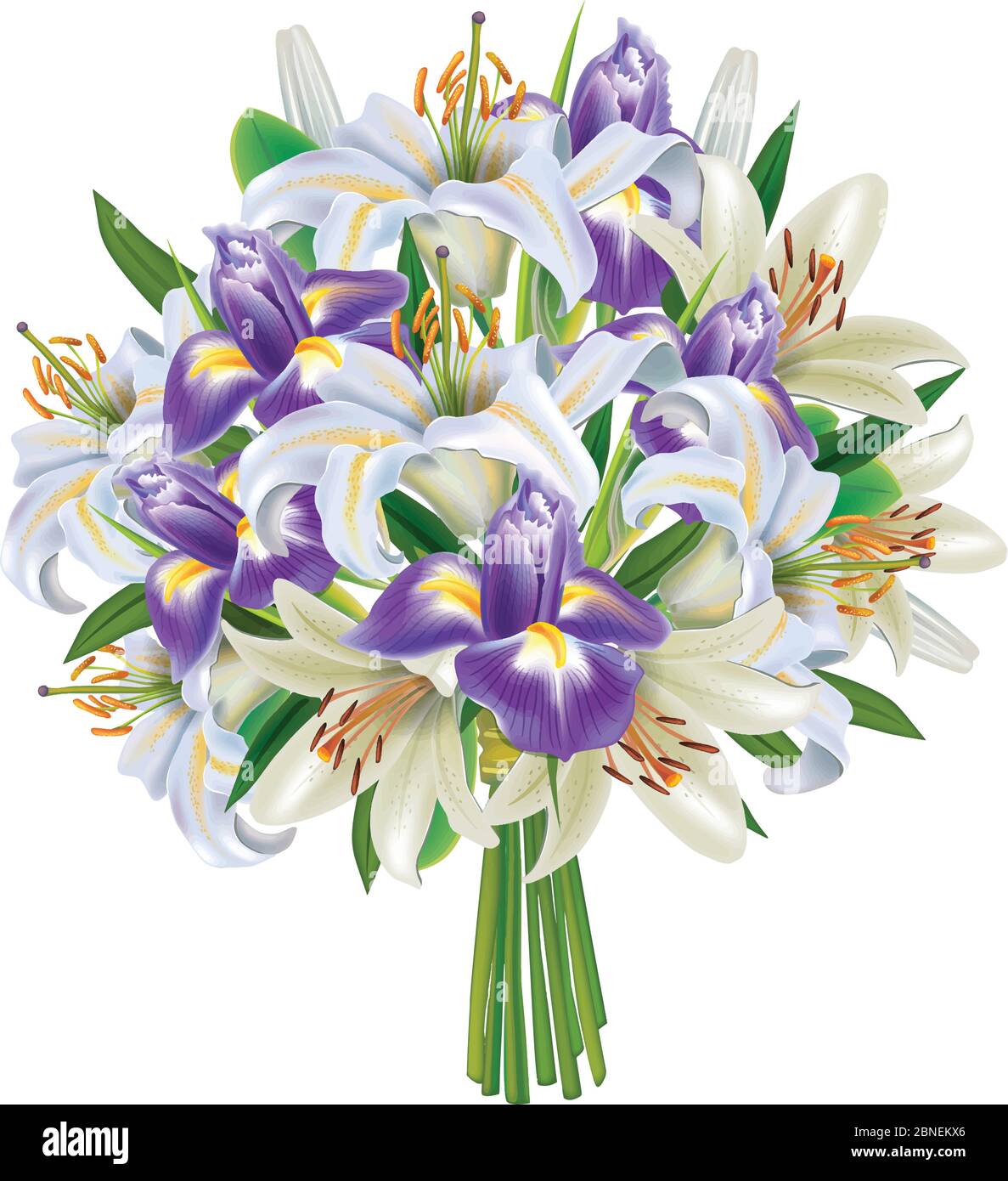 Bouquet of Irises and Lilies Vector Illustration Stock Vector