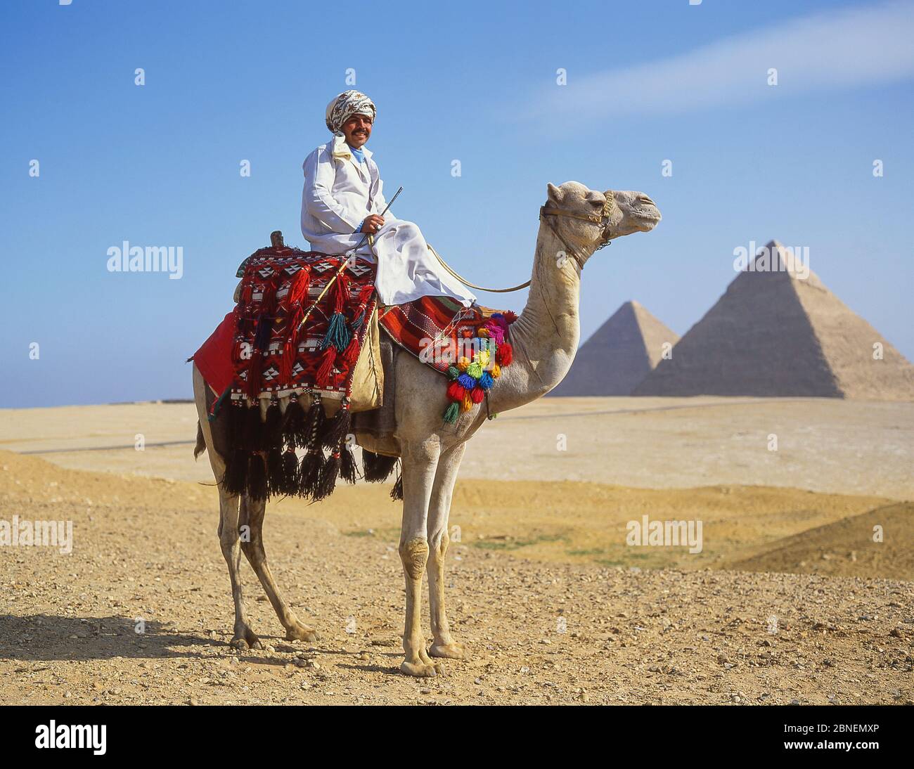 Camel driver on camel, The Great Pyramids of Giza, Giza, Giza Governate, Republic of Egypt Stock Photo