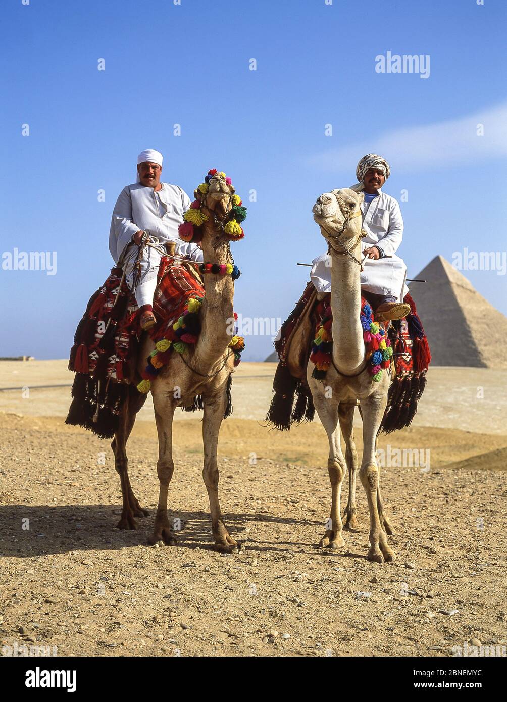 Camel drivers on camels, The Great Pyramids of Giza, Giza, Giza Governate, Republic of Egypt Stock Photo