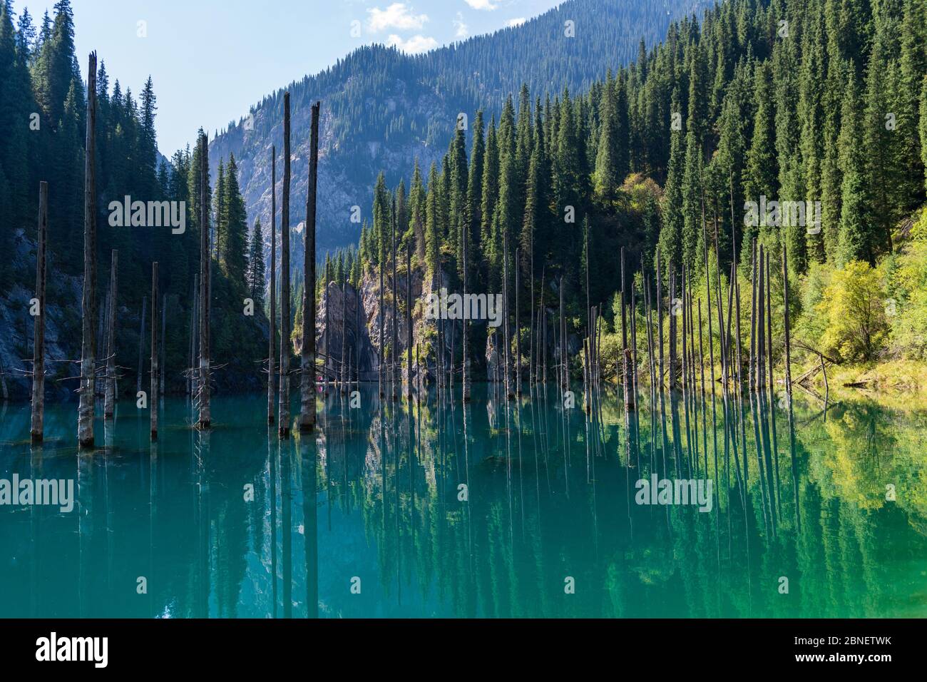 Kaindy Lake Mountain Lake In Kazakhstan Stock Photo Alamy kaindy-lake-mountain-lake-in-kazakhstan-stock-photo-alamy