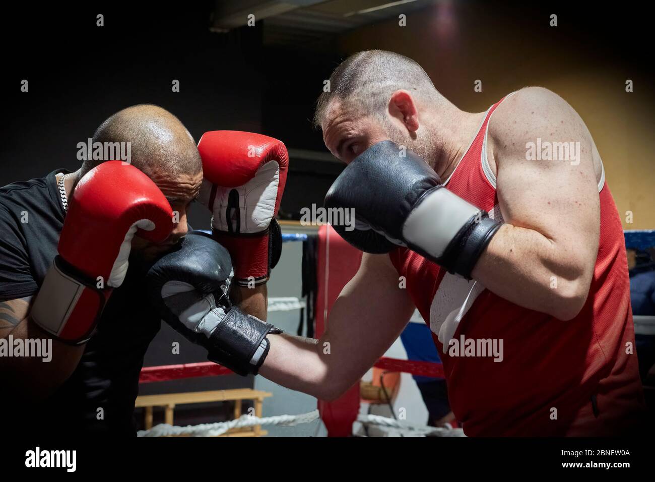 Two determined caucasian male athletes hi-res stock photography and ...