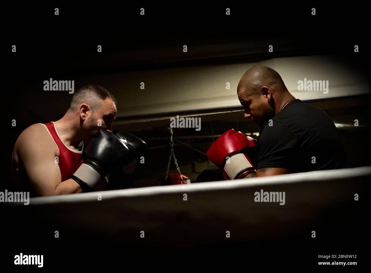 Two determined caucasian male athletes hi-res stock photography and ...