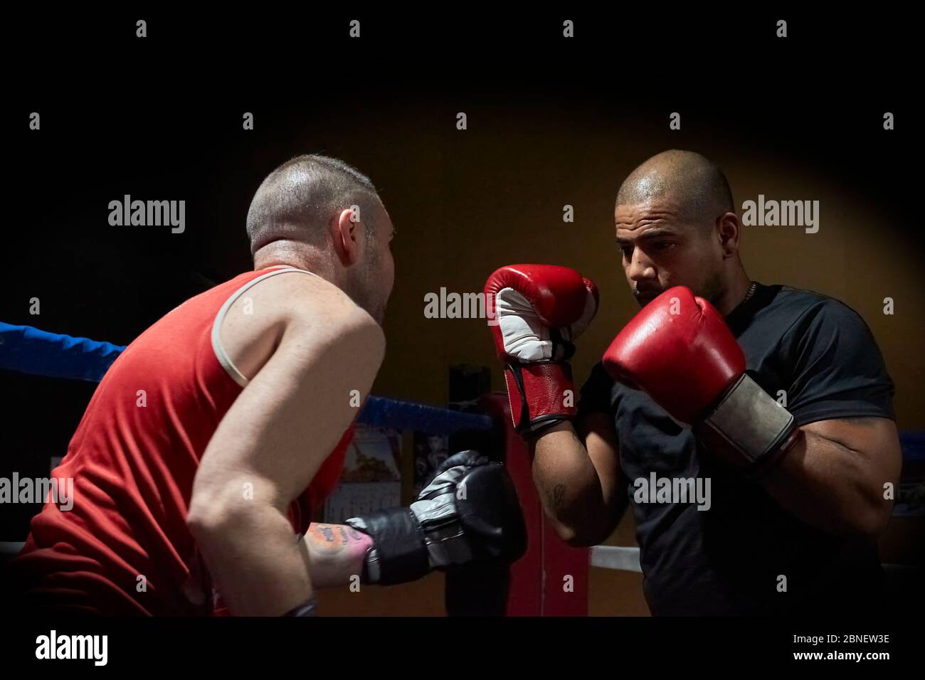 Two determined caucasian male athletes hi-res stock photography and ...