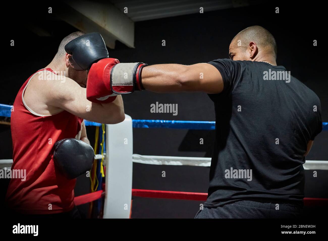 Two determined caucasian male athletes hi-res stock photography and ...