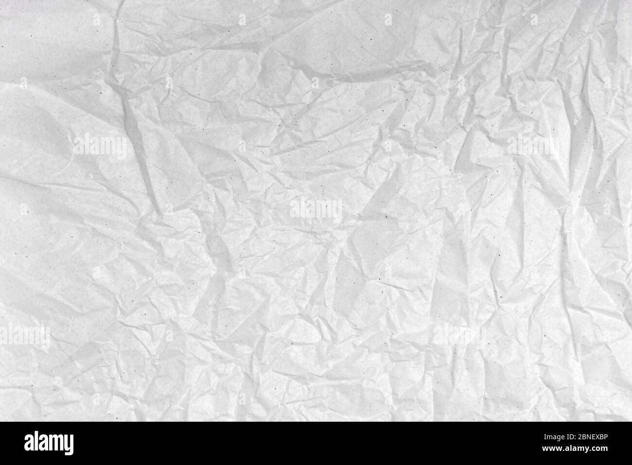 Paper texture. Gray paper sheet. White paper background blank creased  crumpled posters placard grunge textures surface backdrop flat lay, top  view Stock Photo