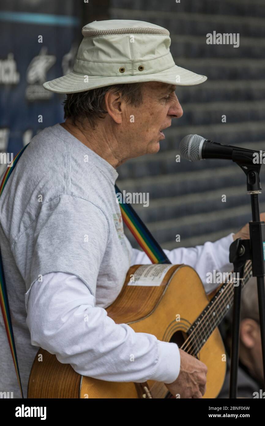 Player with string instrument hi-res stock photography and images - Alamy