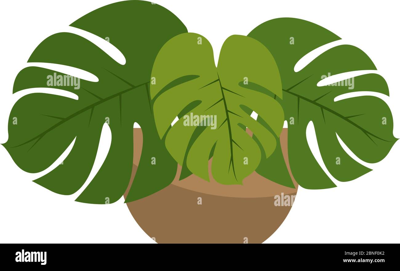 Isolated plant icon Stock Vector Image & Art - Alamy
