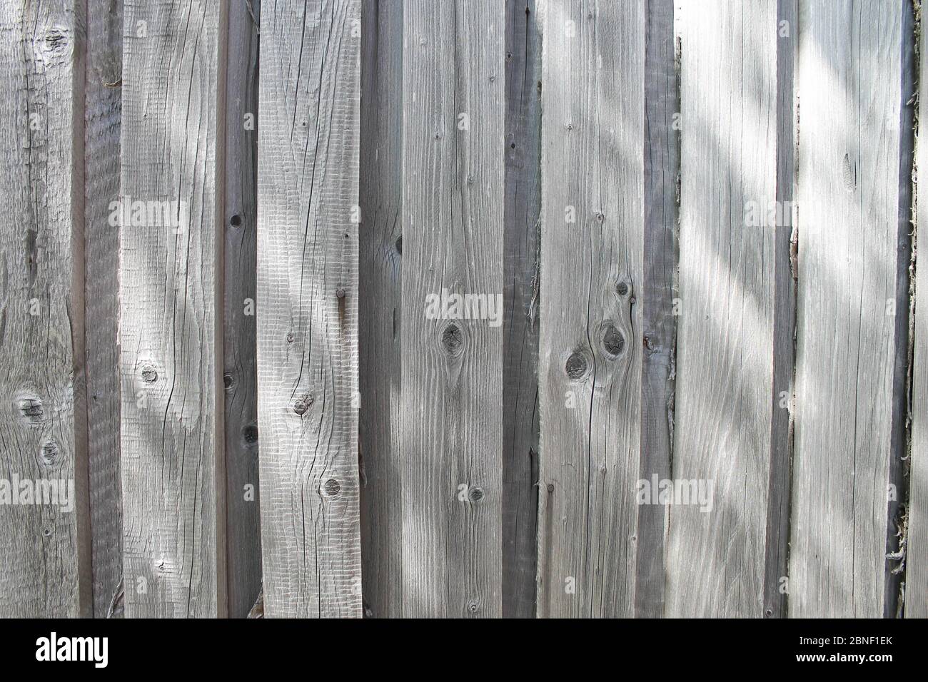 The texture of wooden boards with sun flare.  Stock Photo