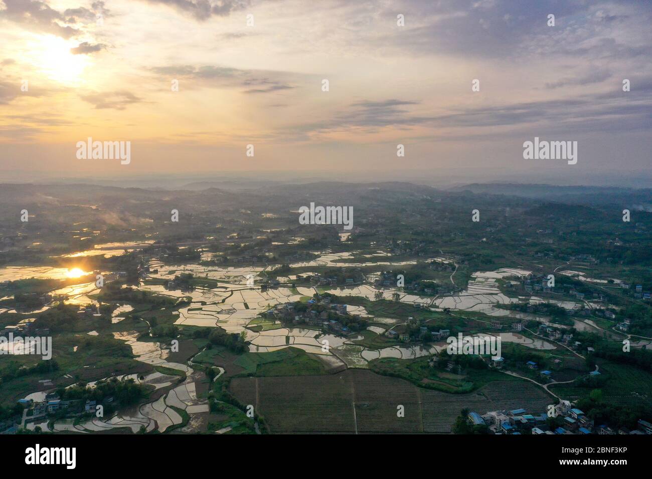 Aerial photo shows the paddy fields in Huaying city, southwest China's ...