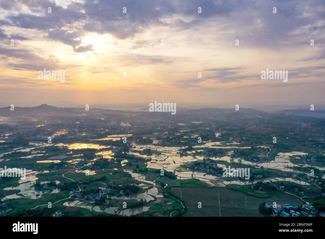 Aerial photo shows the paddy fields in Huaying city, southwest China's ...