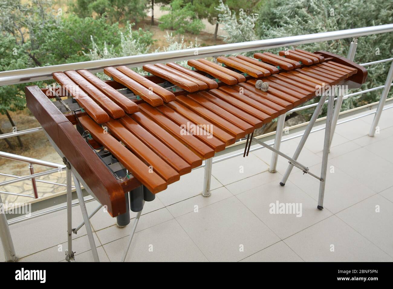 Xylophone, weenote. Xylophone closeup, wooden percussion instrument
