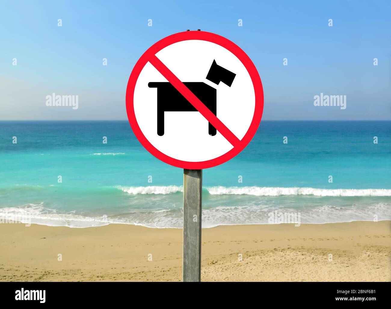 Pets Prohibited Pet rest stop sign hi-res stock photography and images - Alamy