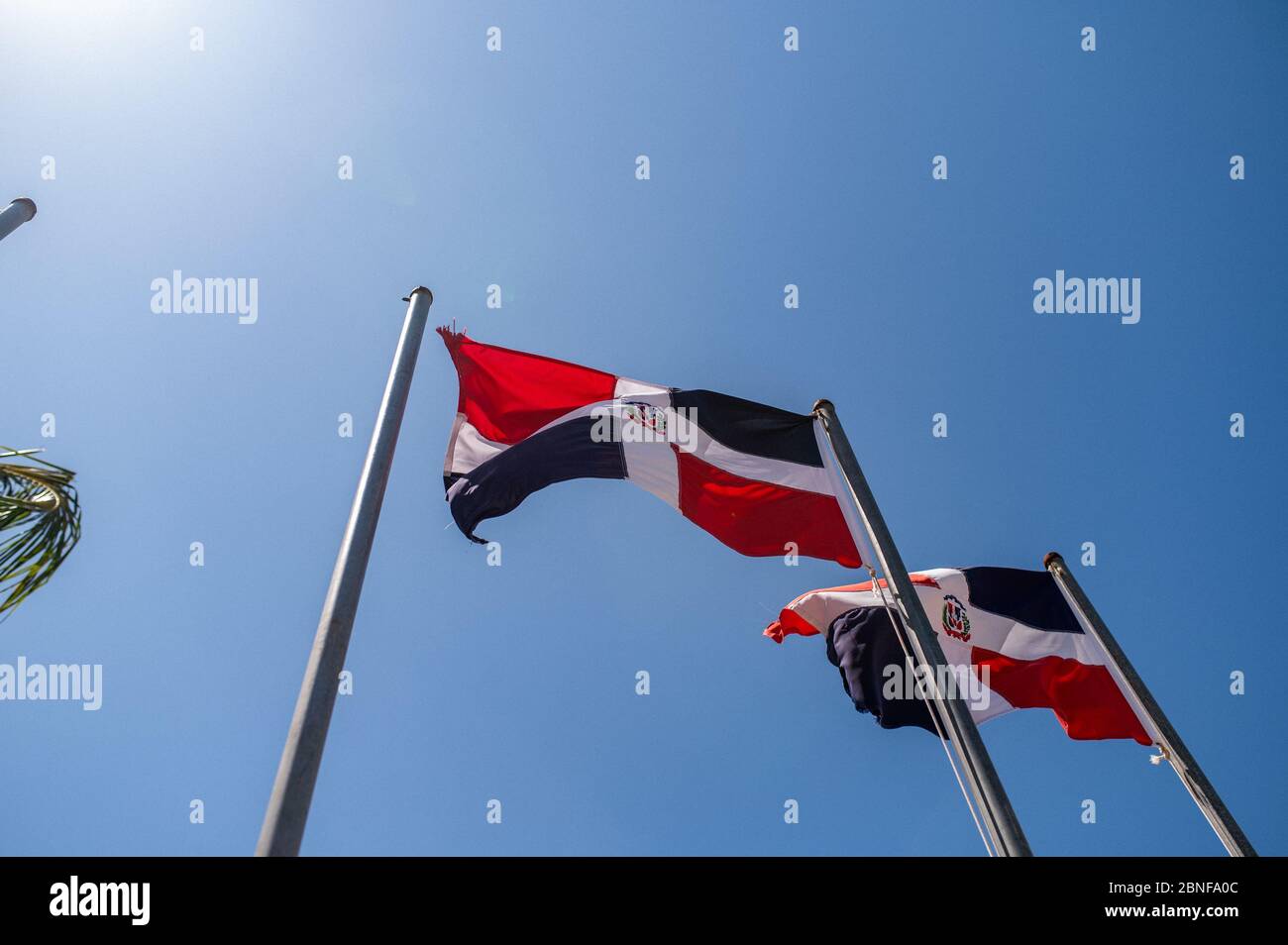Low angle shot of the flags of the Dominican Republic on metal poles near palm trees Stock Photo