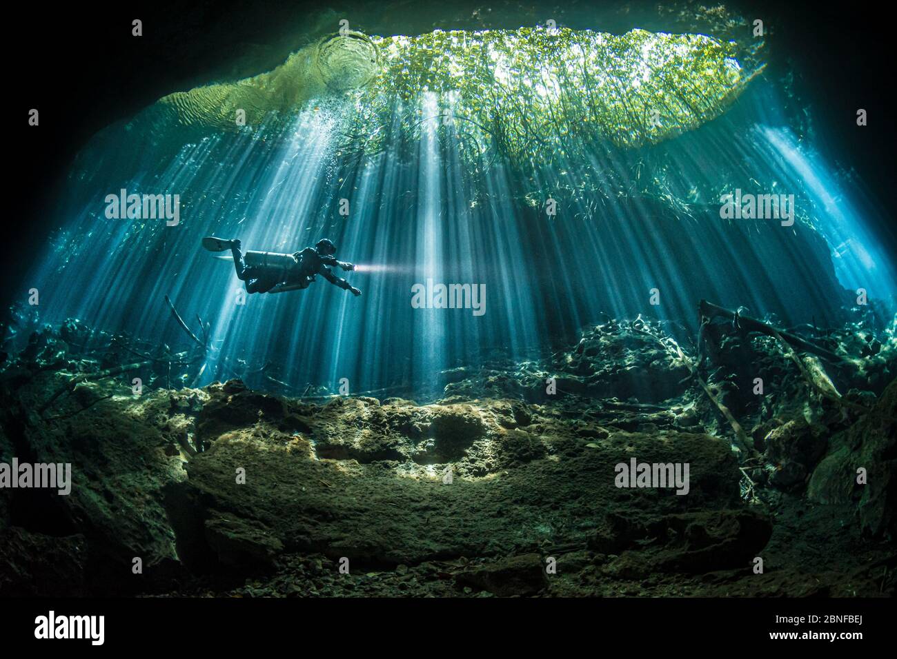A diver in sunbeams in a cenote in Quintana Roo, Mexico. Stock Photo