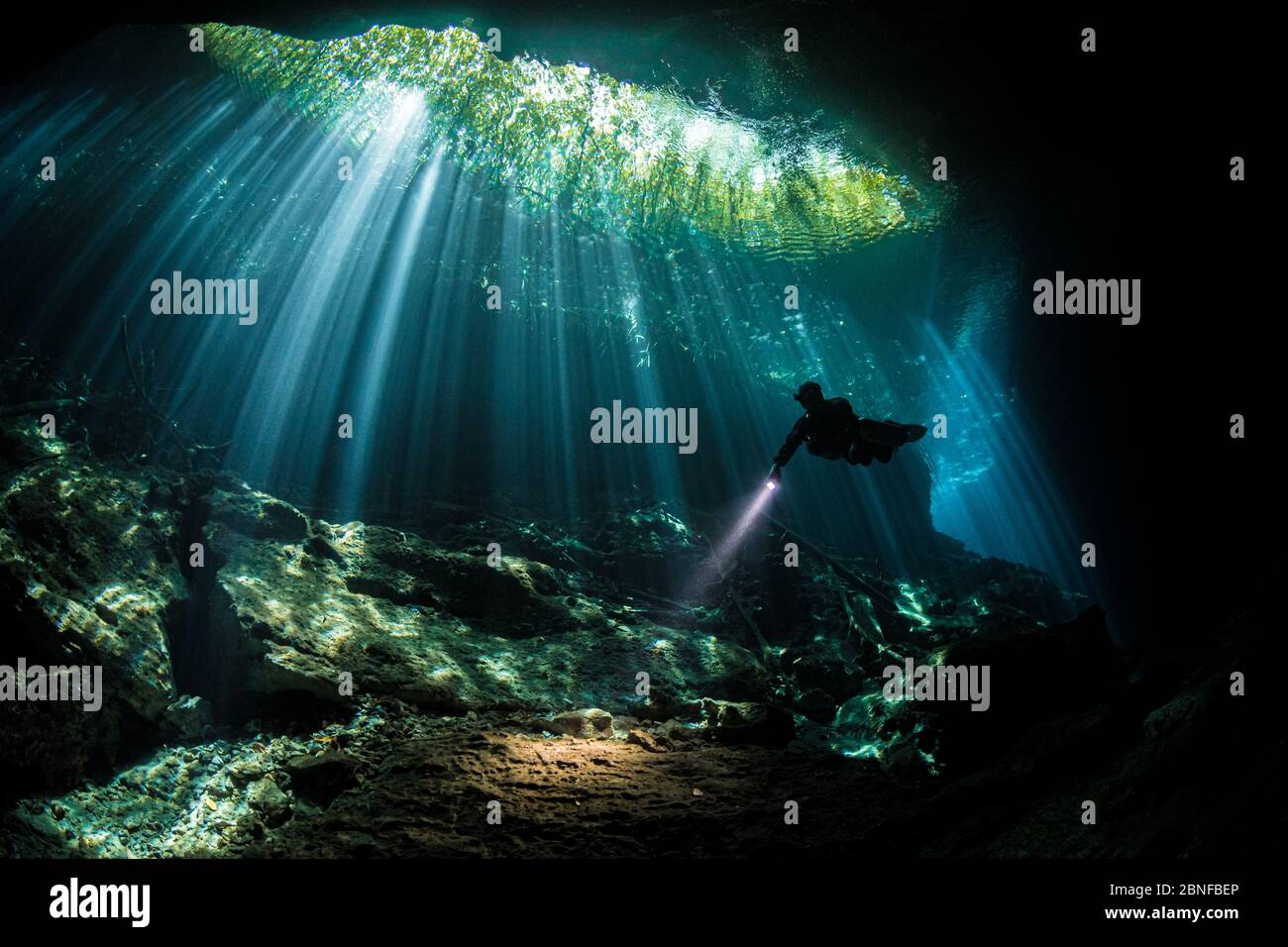 A diver in sunbeams in a cenote in Quintana Roo, Mexico. Stock Photo