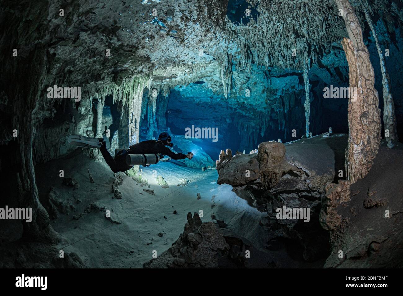 A diver in a cenote in Quintana Roo, Mexico. Stock Photo