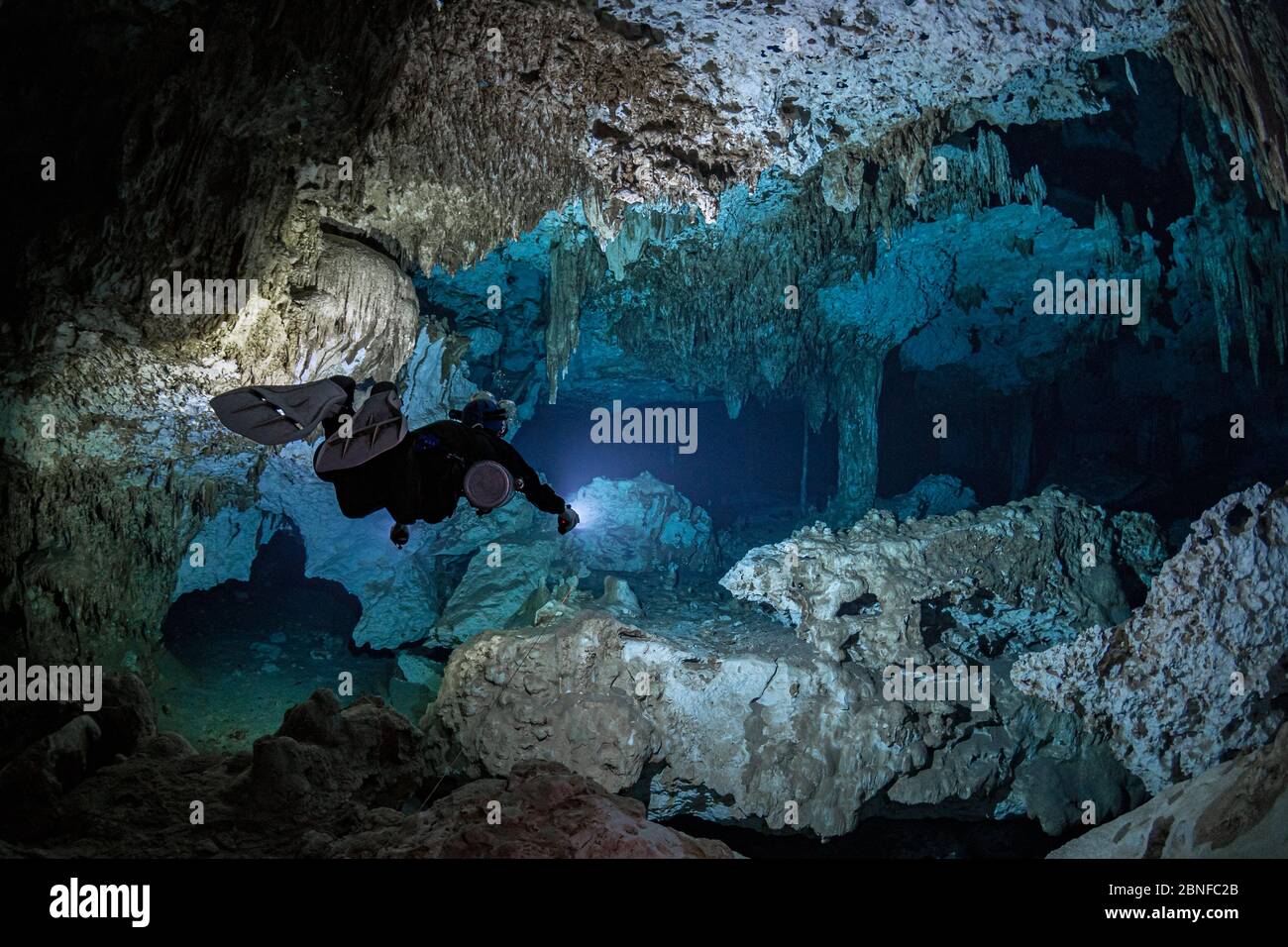 A diver in a cenote in Quintana Roo, Mexico. Stock Photo