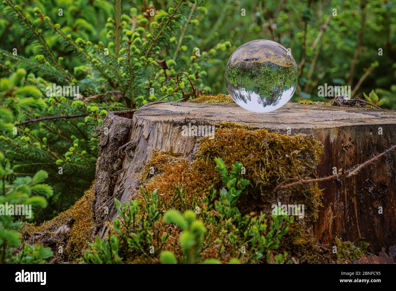Farns hi-res stock photography and images - Alamy