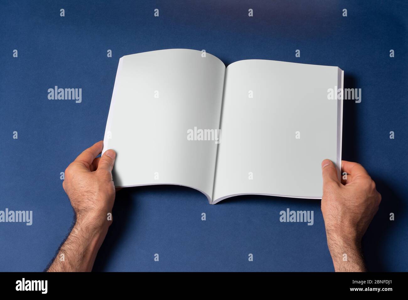 Male hands holding an opened bookcatalog with blank pages on blue