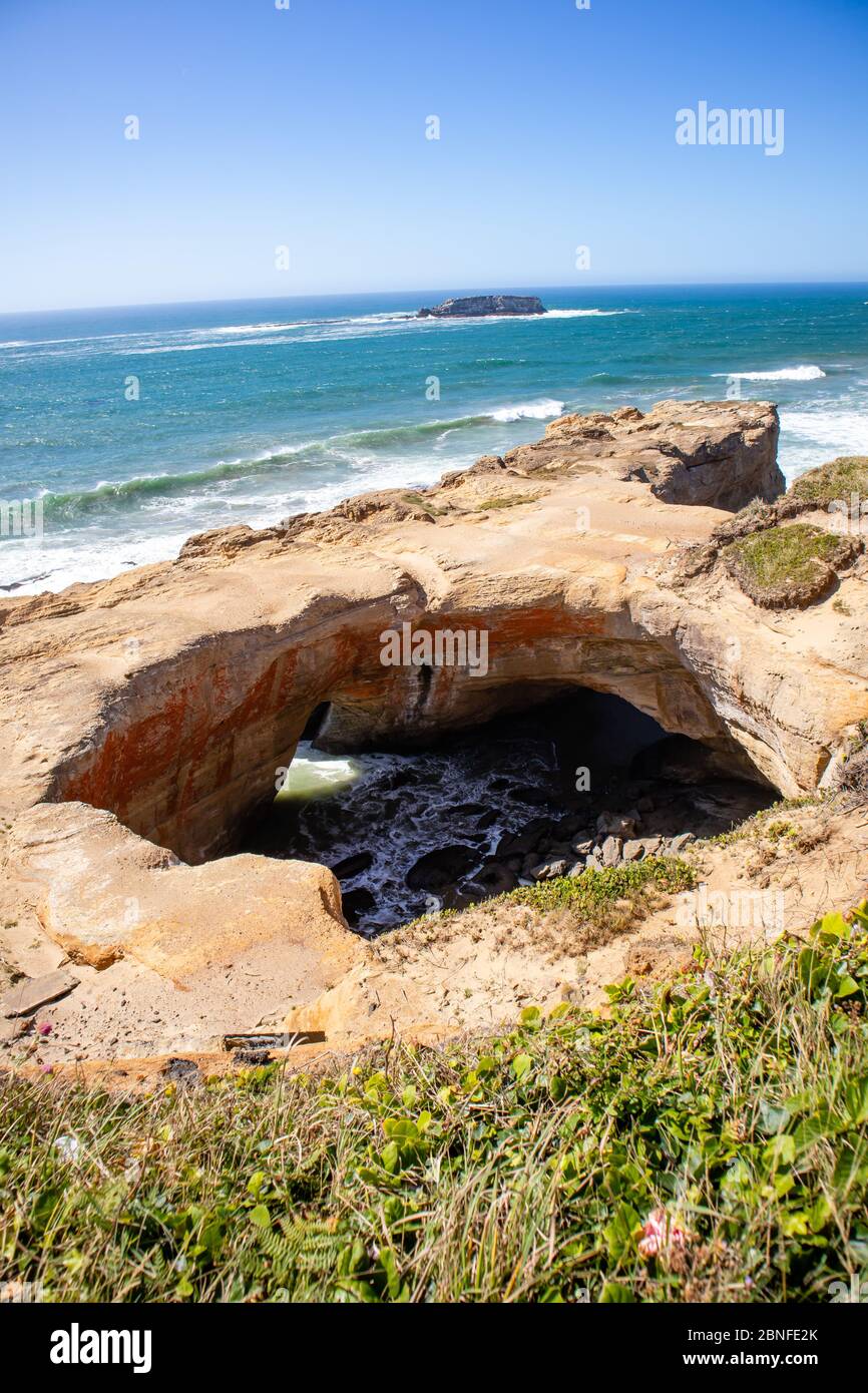 Devils Punchbowl State Natural Aear, Otter Rock, Oregon in August at low tide, vertical Stock Photo