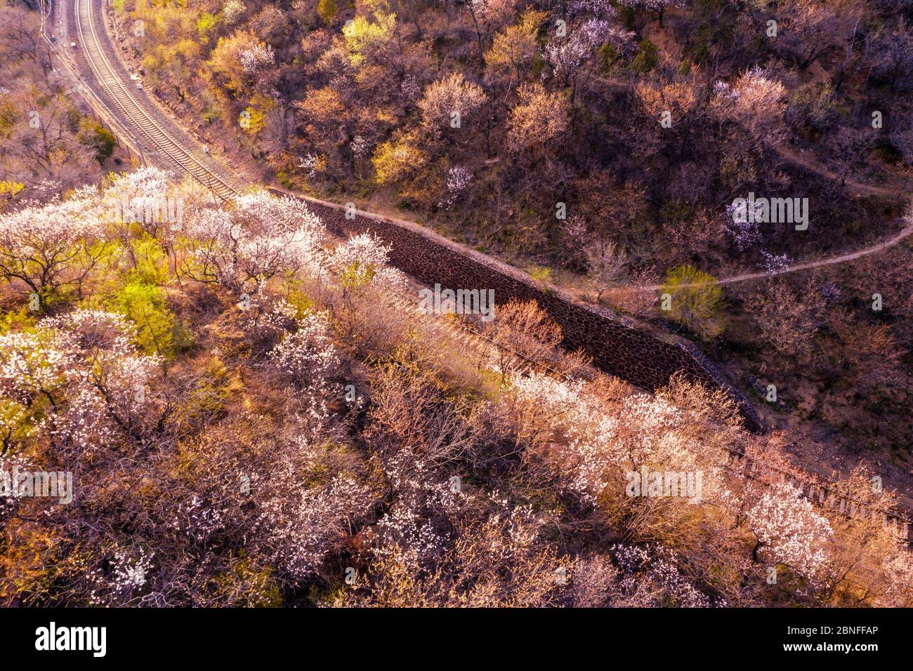 Spring Train View An aerial view of a train, which has the nickname of 'train to spring ...