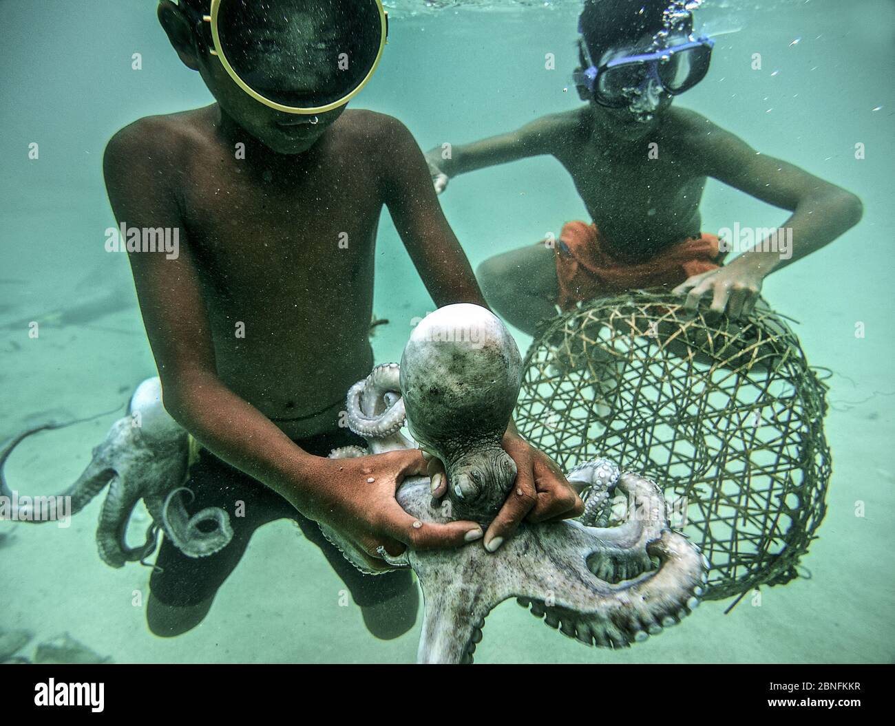 Mahari Leads Indonesia's Bajau in Preserving Marine Life and Ancient Freediving Techniques Mahari Leads Indonesia's Bajau in Preserving Marine Life and Ancient Freediving Techniques
