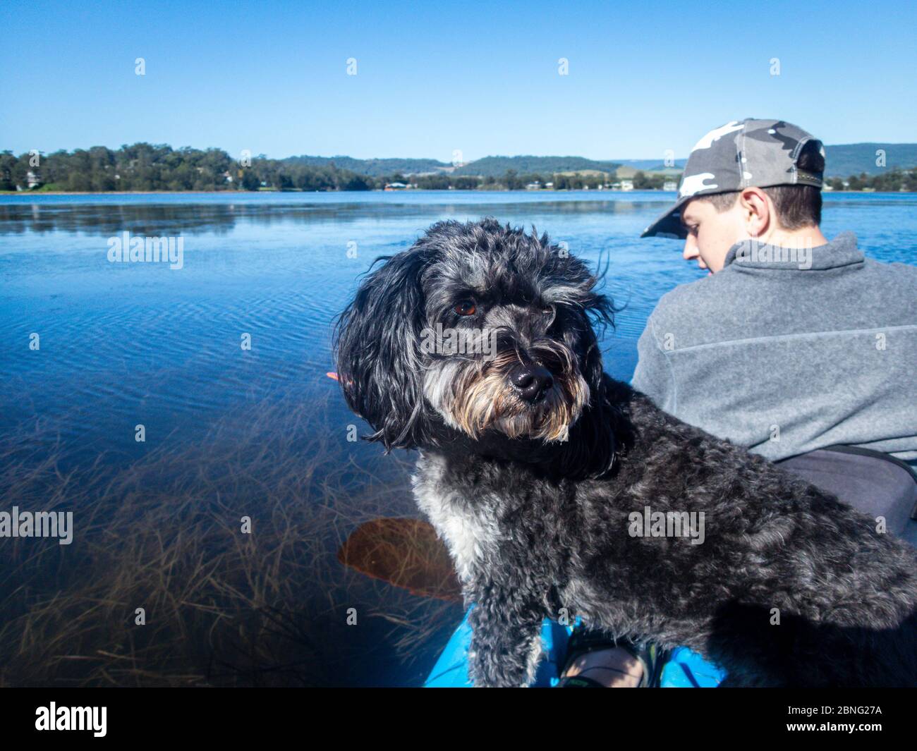 Teenage boy and dog kayaking on peaceful sunny lake, best friends, isolation calm and peace concept Stock Photo