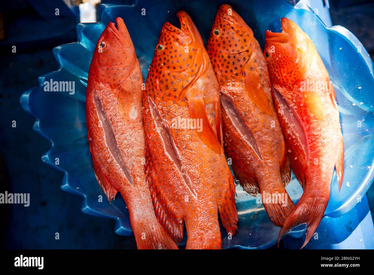 Fresh Lapu Lapu fish with salt ready to be grilled Stock Photo