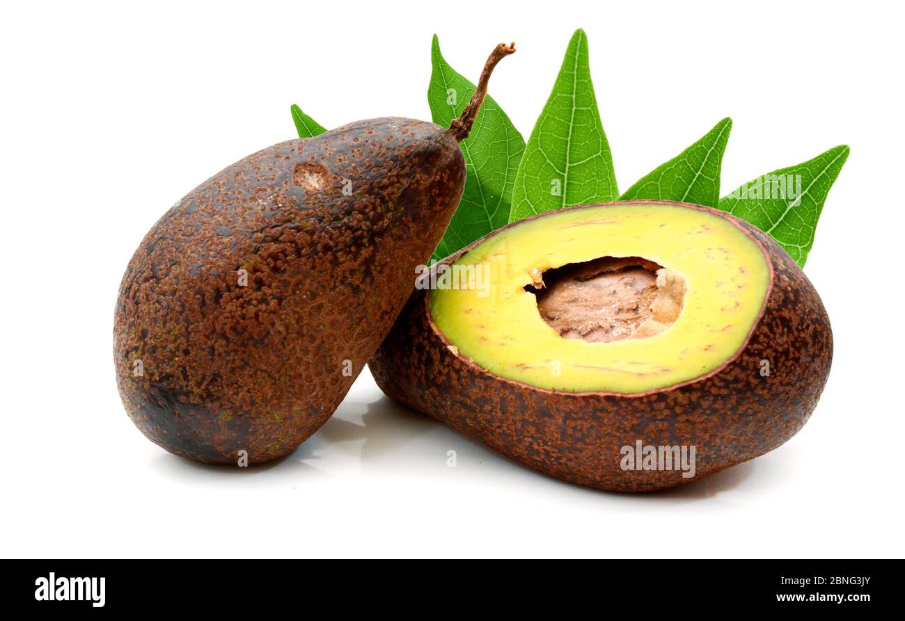 Fresh Avocados two whole and one halved isolated on white Stock Photo ...