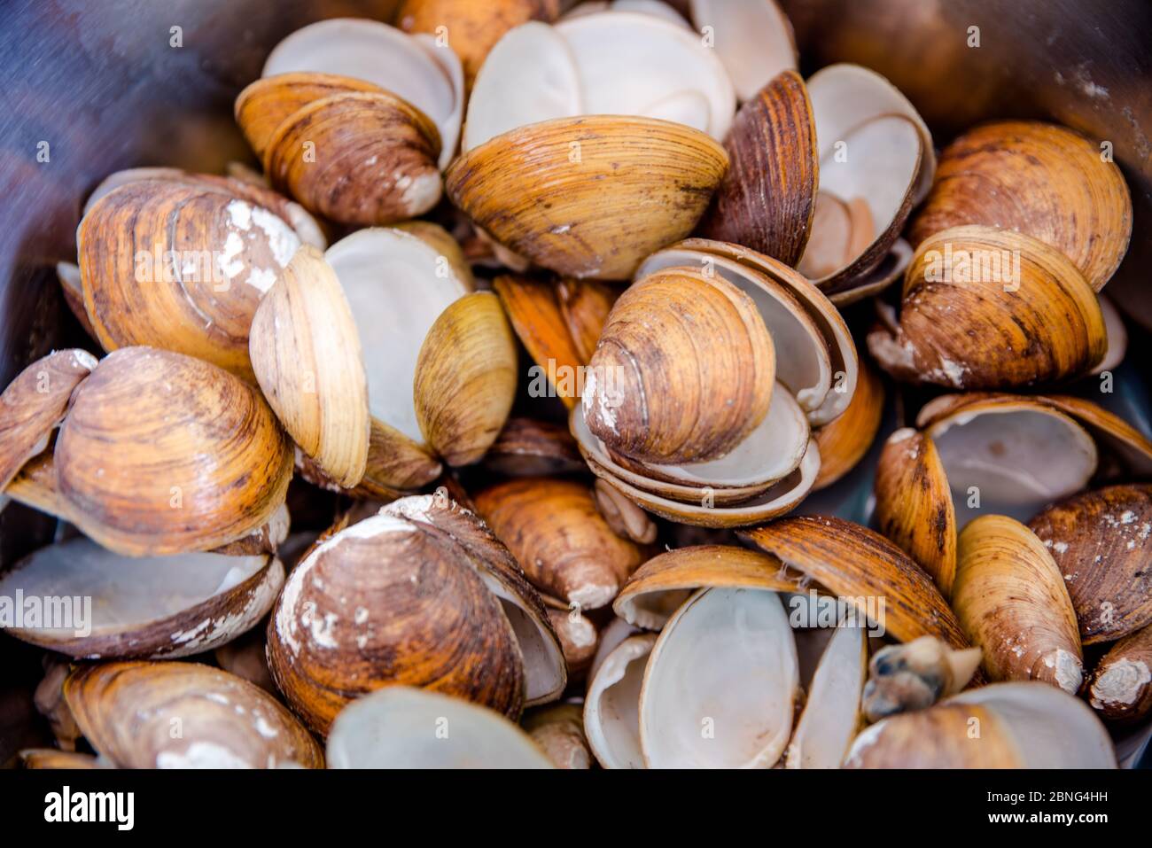 Fresh clam soup ready to serve for lunch Stock Photo Alamy