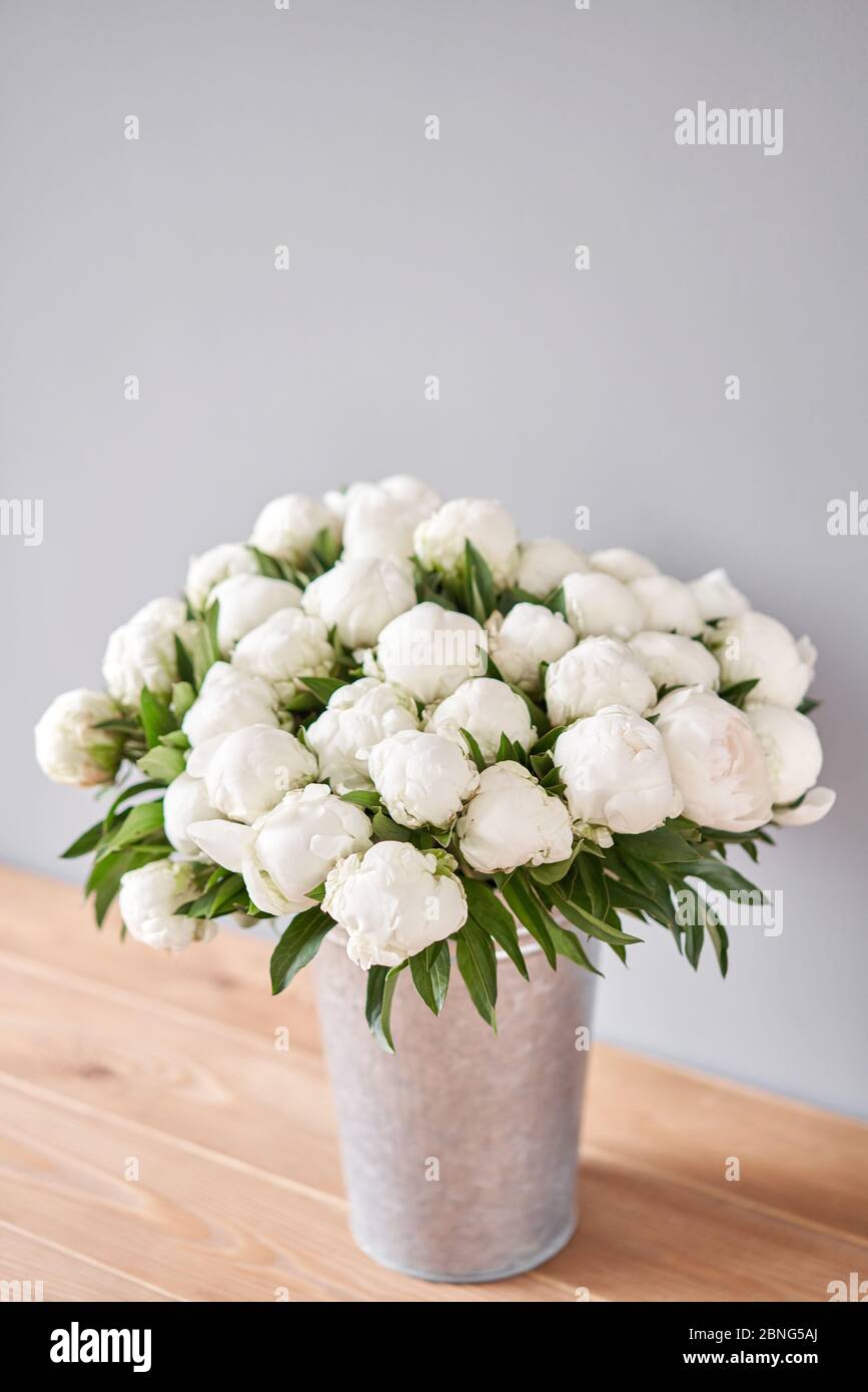 White Madame Claude Tain peonies in a metal vase. Beautiful peony