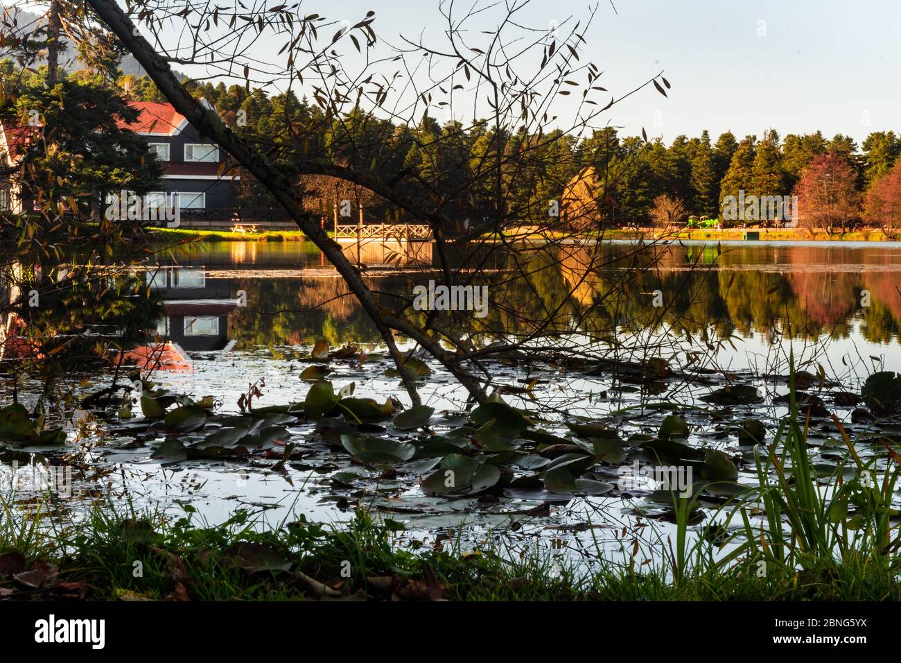 Lake and a house near the forest during daytime Stock Photo - Alamy