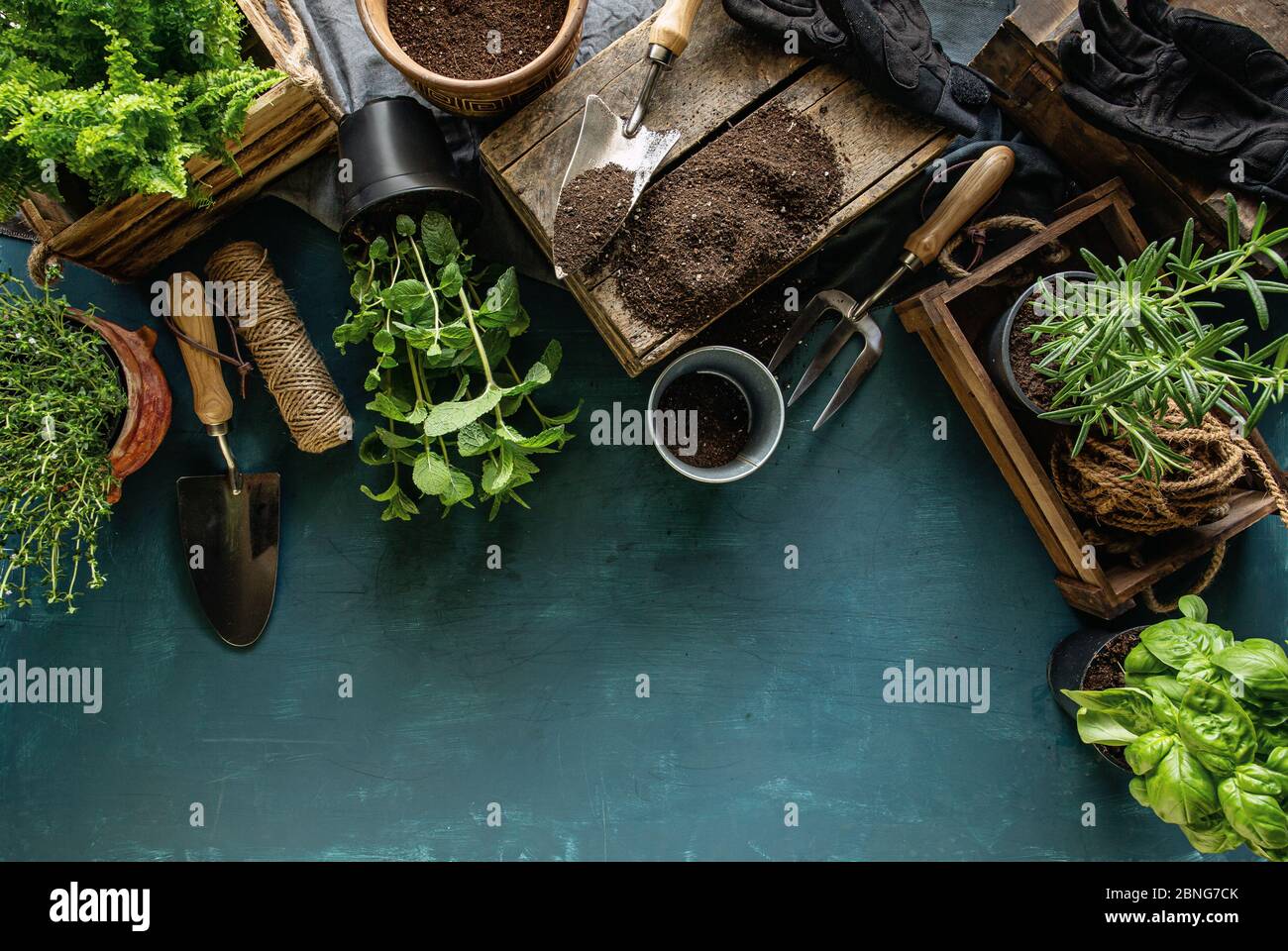 Spring hobby garden works concept on blue background Stock Photo - Alamy