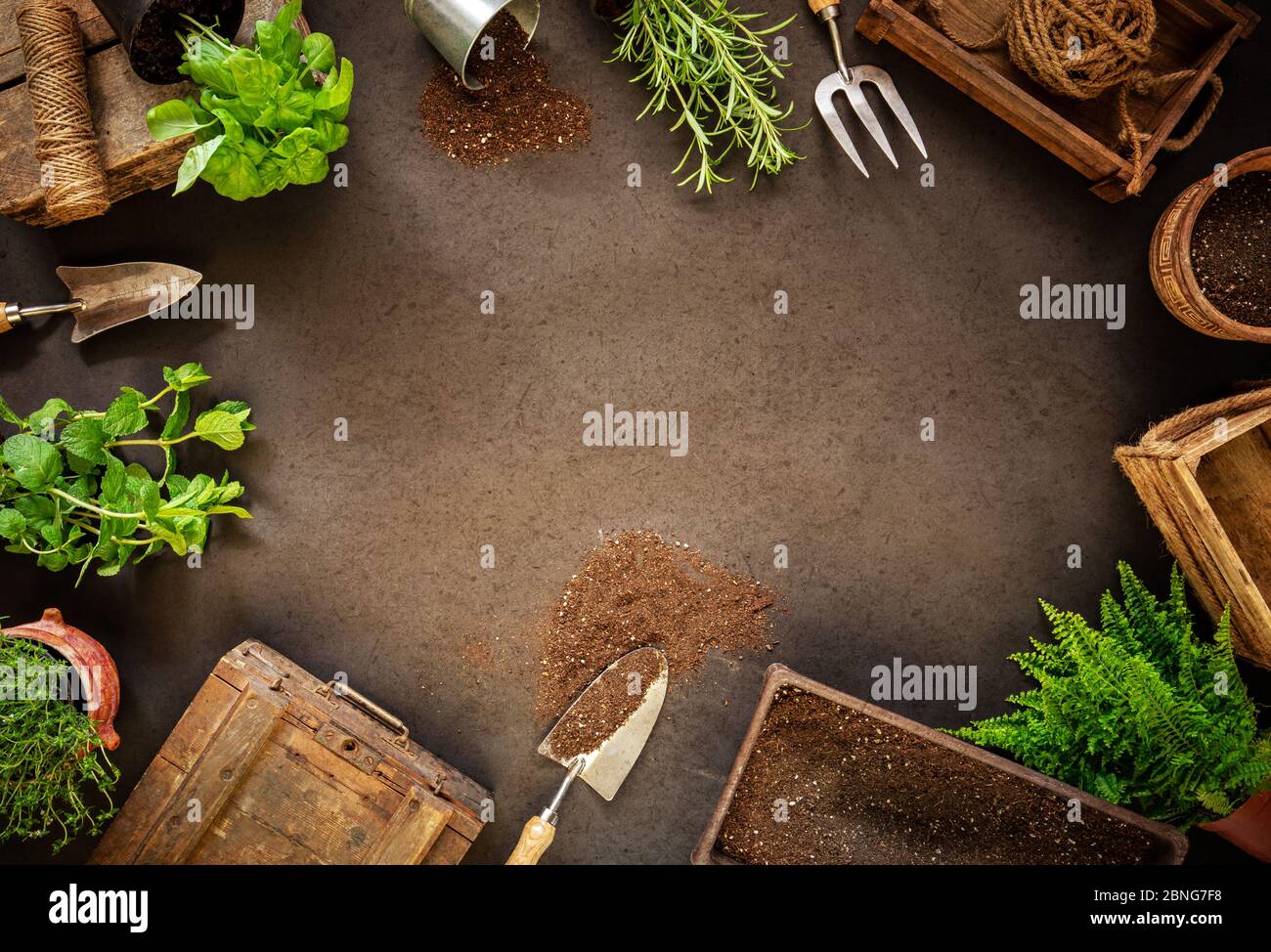 Spring hobby garden works concept with space for your text Stock Photo ...
