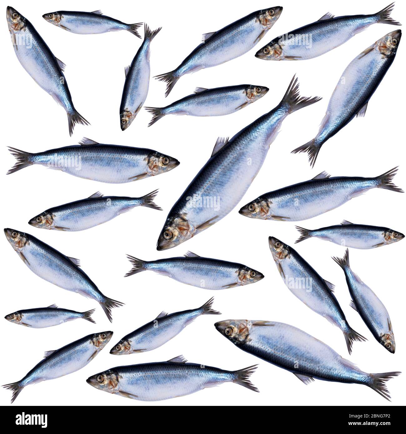 Frozen herring hi-res stock photography and images - Page 2 - Alamy