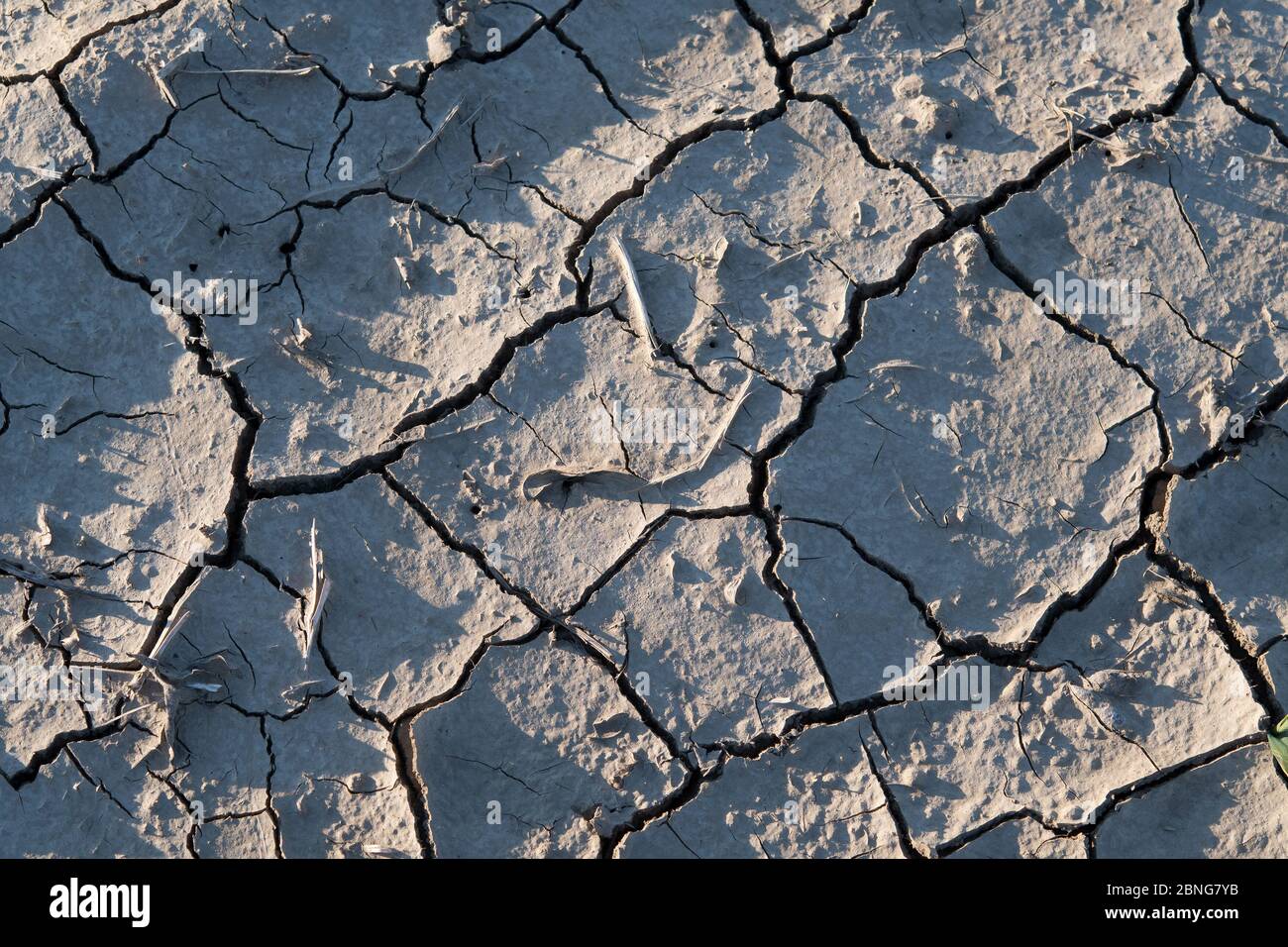 Cracked dry brown earth soil desert landscape, global worming concept. Stock Photo