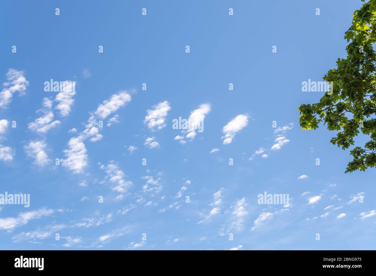 Low angle shot of clouds in the blue sky Stock Photo - Alamy