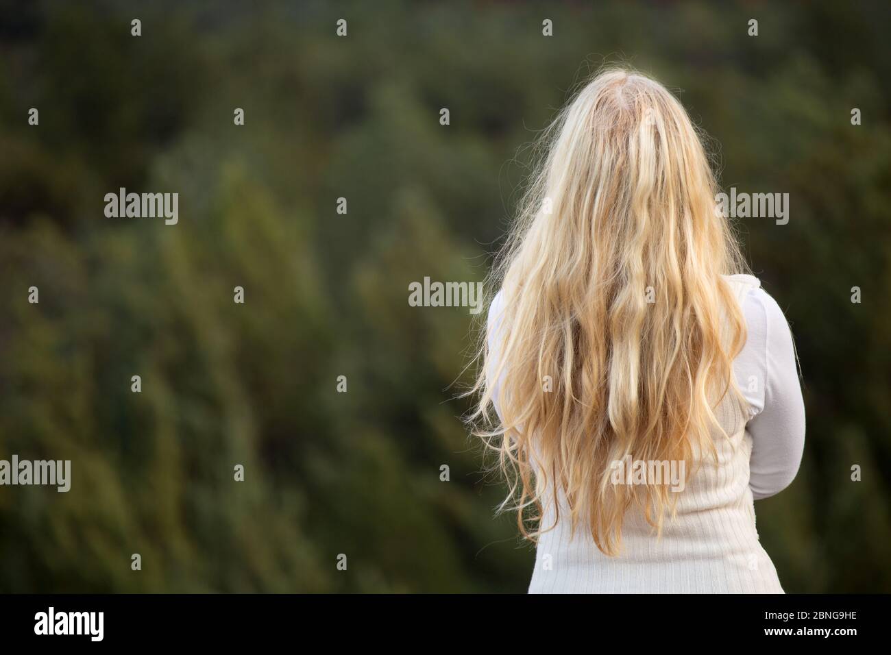 Rear view beautiful blonde woman hi-res stock photography and images ...