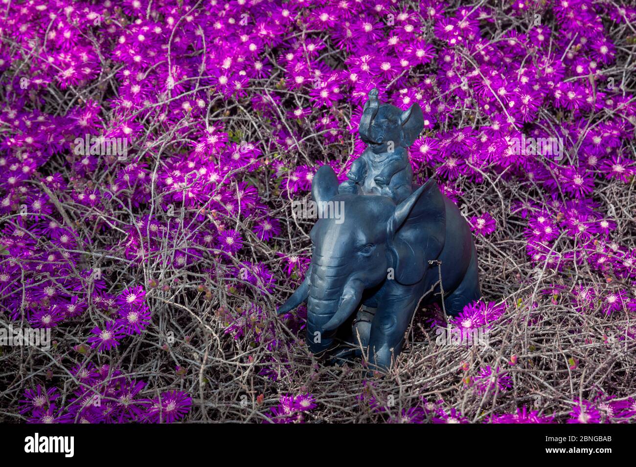 Elephant Statue in a garden Stock Photo Alamy