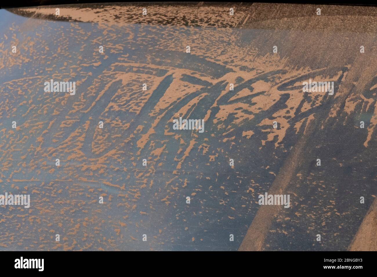 Rear window of a car covered with sand. Dutch sense means that the car