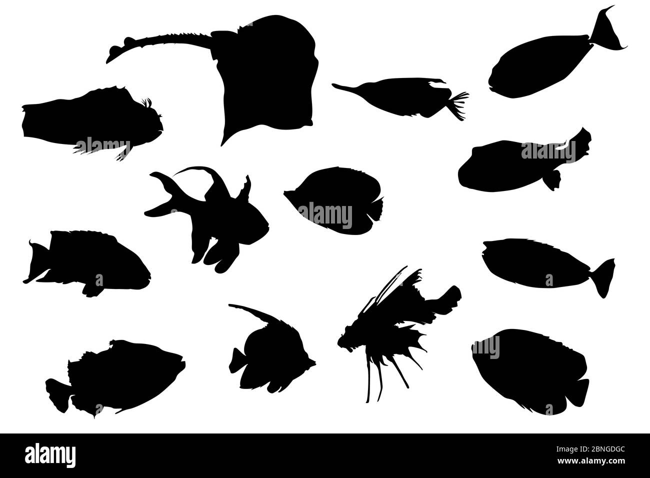 Set of fishes silhouettes isolated on white background. Collection shapes of tropical aquarium fish of different kinds. Stock vector illustration Stock Vector