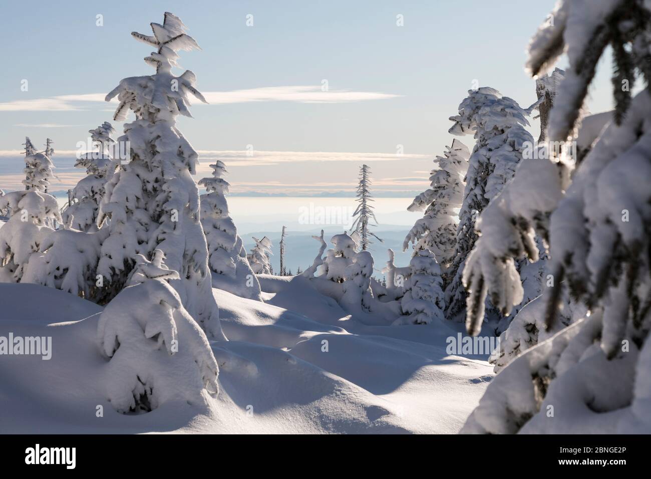 Winter wilderness hi-res stock photography and images - Alamy