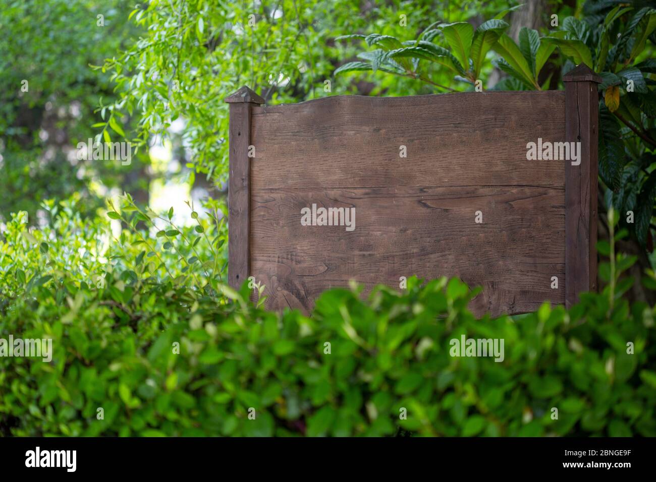 Green blank billboard big tree hi-res stock photography and images - Alamy