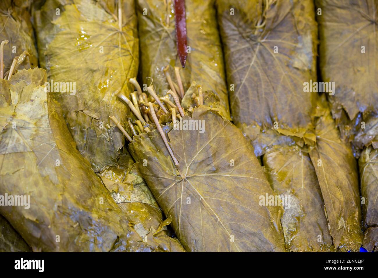 Pickled grape leaves hires stock photography and images Alamy
