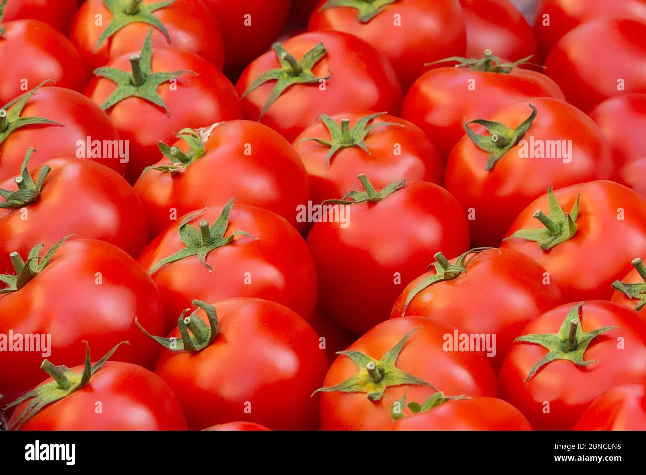red tomatoes background. Group of tomatoes Stock Photo - Alamy