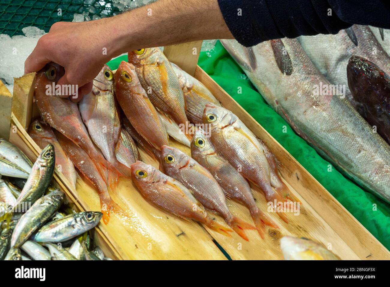 fresh fish on the ice in the market Stock Photo - Alamy